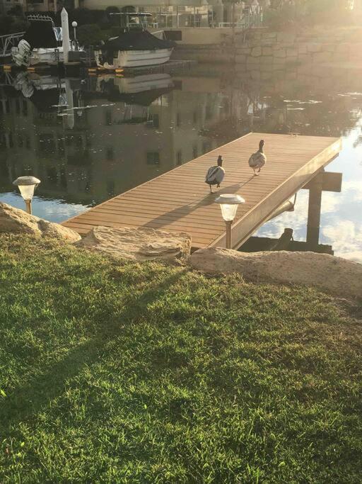 Broadwater Canal Frontage-Runaway Bay-Boat Ramp 黄金海岸 外观 照片